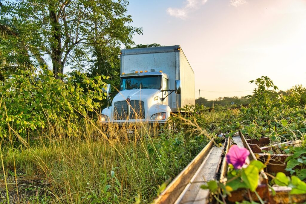 trucking, truck, belize, transportation, landscape, morning, grass, nature, kenworth